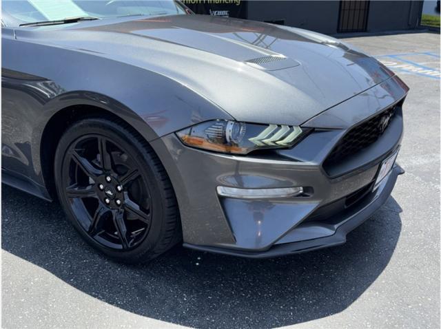 used 2019 Ford Mustang car, priced at $18,995