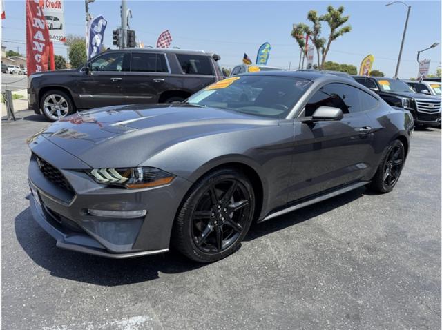 used 2019 Ford Mustang car, priced at $18,995