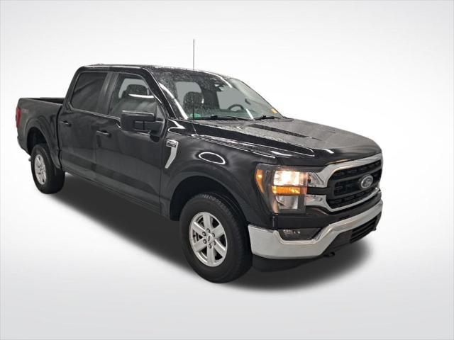 used 2023 Ford F-150 car, priced at $36,950