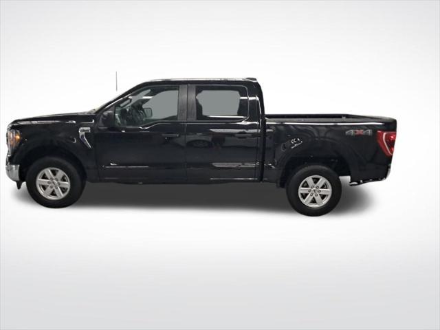 used 2023 Ford F-150 car, priced at $36,950