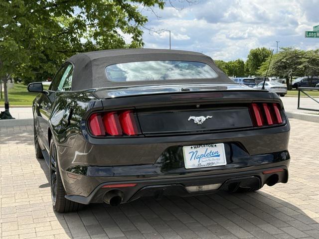 used 2016 Ford Mustang car, priced at $19,000