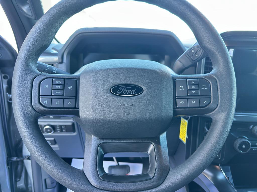 new 2025 Ford F-150 car, priced at $49,490