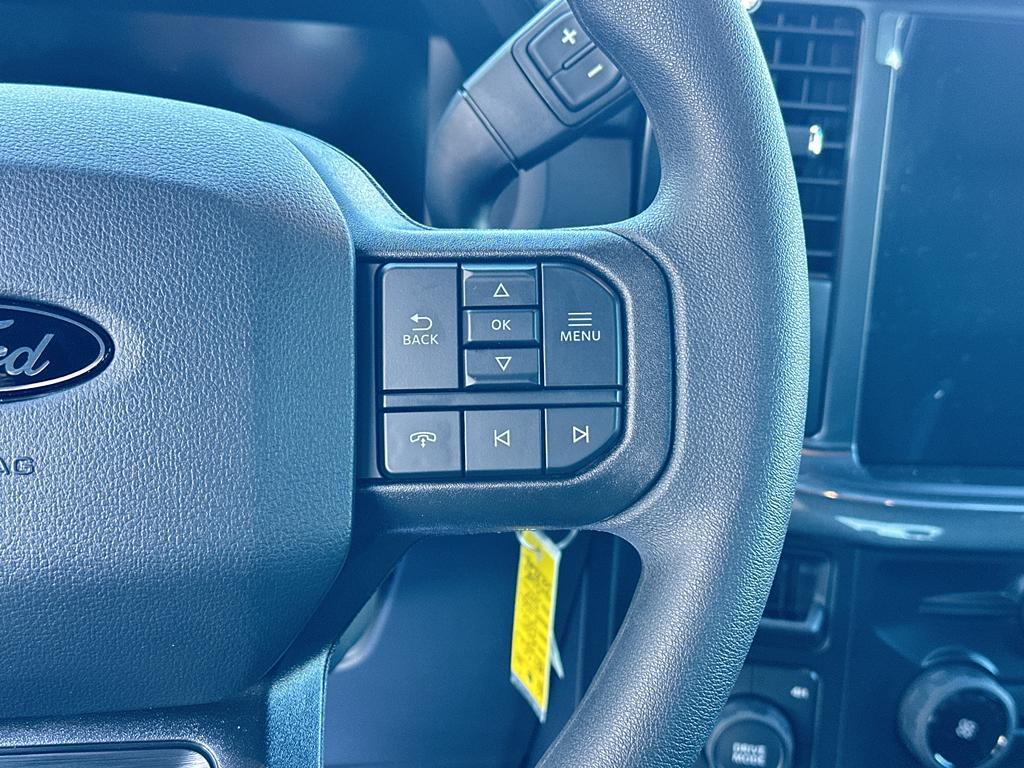 new 2025 Ford F-150 car, priced at $49,490