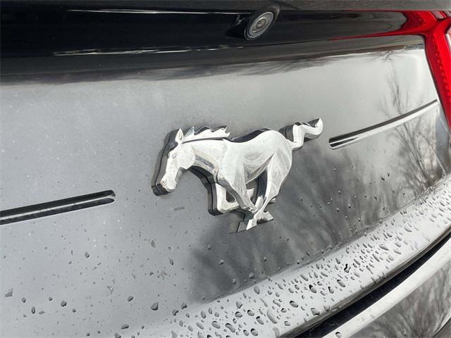 used 2020 Ford Mustang car, priced at $19,411