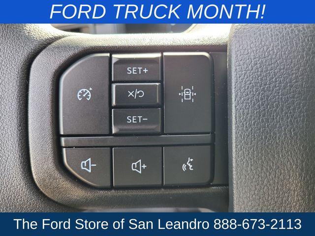 new 2024 Ford F-150 car, priced at $43,859