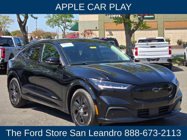 used 2021 Ford Mustang Mach-E car, priced at $32,900