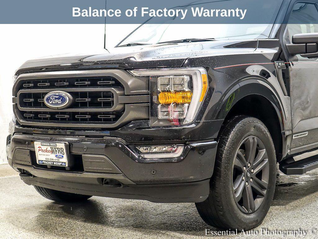used 2023 Ford F-150 car, priced at $44,259