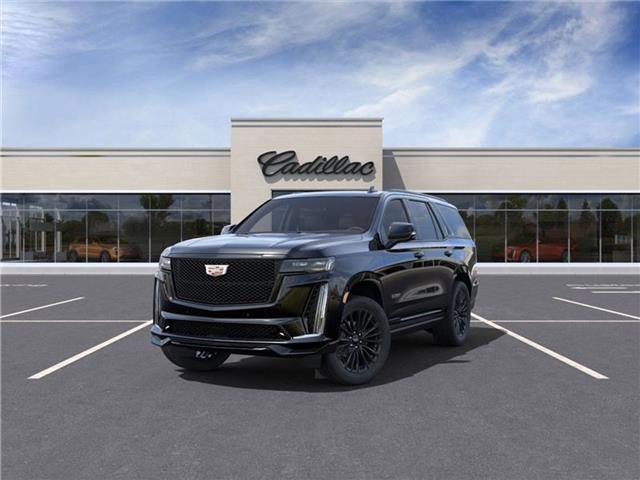 used 2023 Cadillac Escalade car