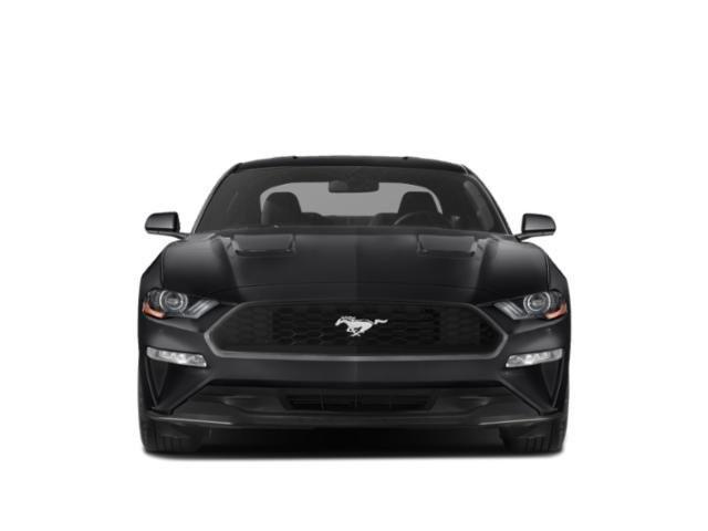 used 2019 Ford Mustang car