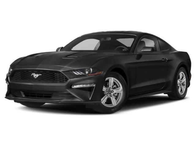 used 2019 Ford Mustang car