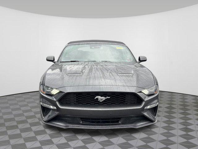 used 2019 Ford Mustang car, priced at $22,607