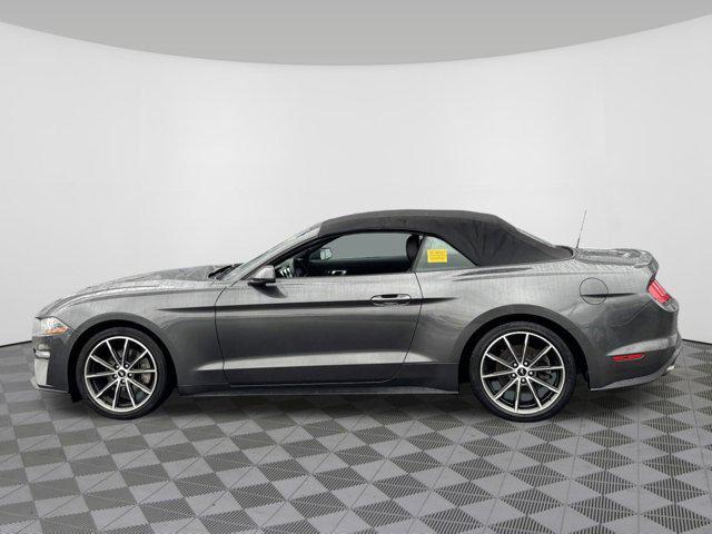 used 2019 Ford Mustang car, priced at $22,607