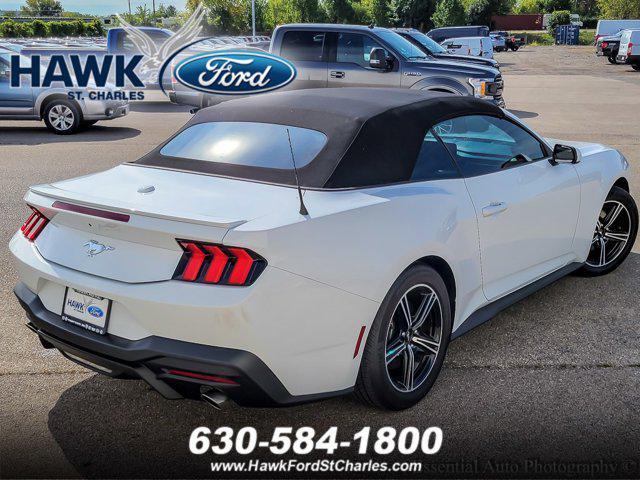 used 2024 Ford Mustang car, priced at $33,600