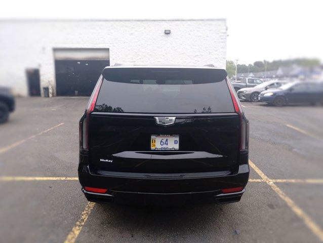 used 2024 Cadillac Escalade car, priced at $94,924