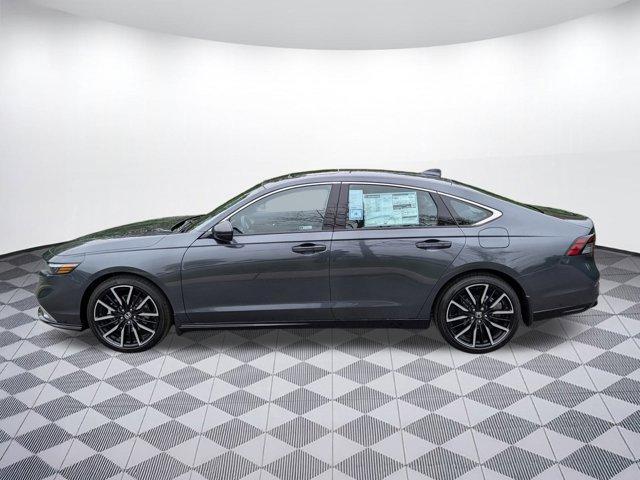 new 2025 Honda Accord Hybrid car, priced at $39,241