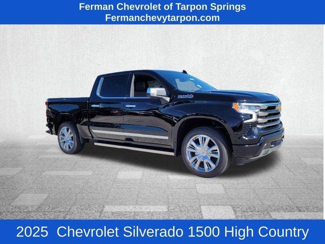new 2025 Chevrolet Silverado 1500 car, priced at $67,520