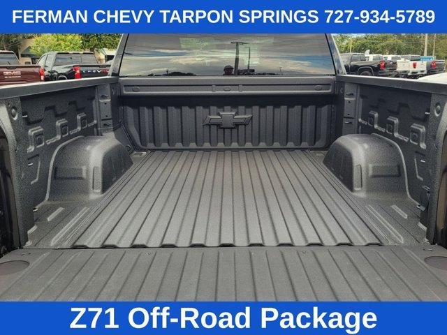 new 2025 Chevrolet Silverado 1500 car, priced at $53,570