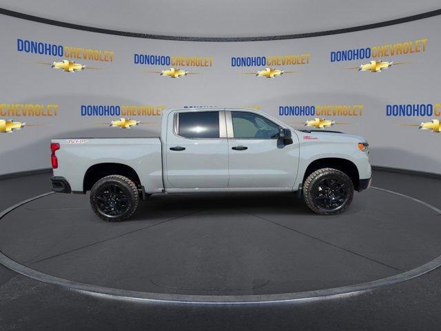 new 2024 Chevrolet Silverado 1500 car, priced at $59,860