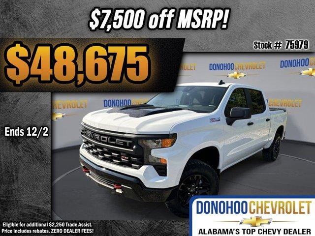 new 2024 Chevrolet Silverado 1500 car, priced at $48,675