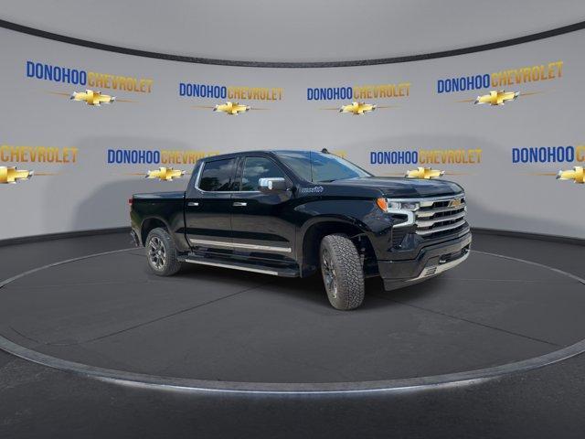 new 2025 Chevrolet Silverado 1500 car, priced at $61,375