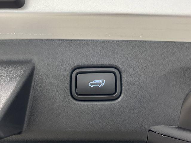 used 2024 Hyundai TUCSON Hybrid car, priced at $26,000