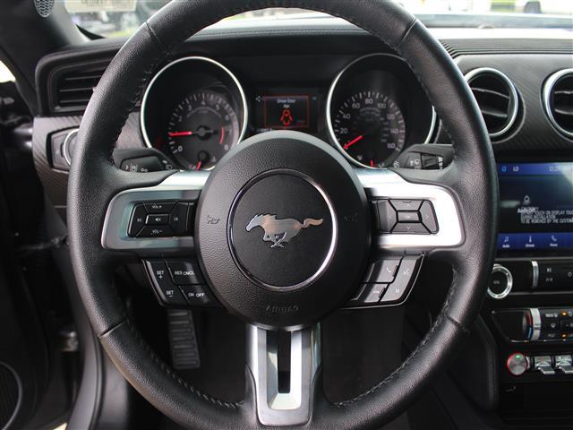 used 2022 Ford Mustang car