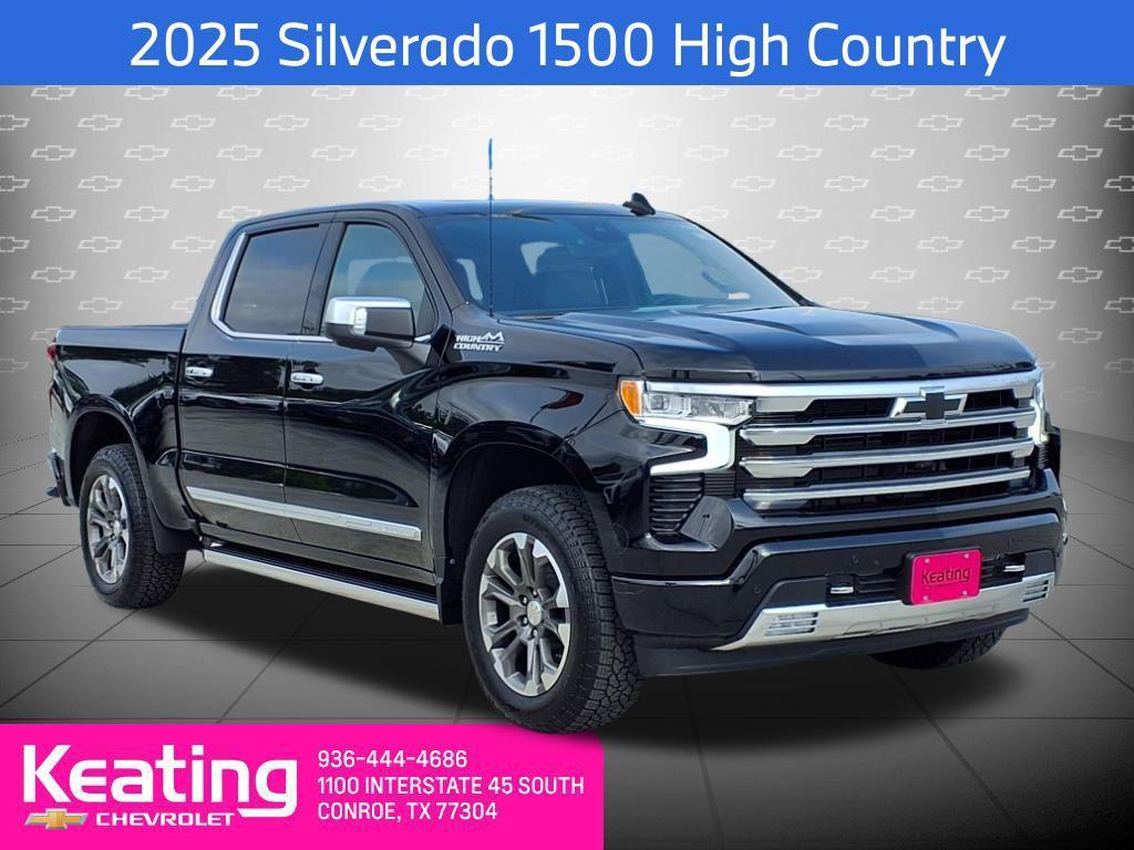 new 2025 Chevrolet Silverado 1500 car, priced at $63,789