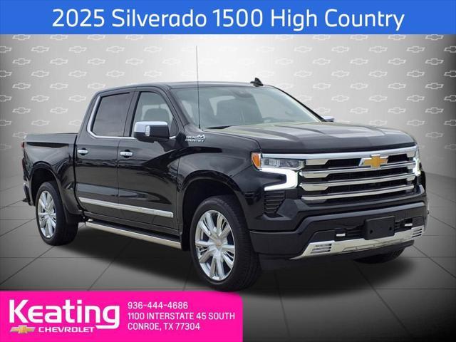 new 2025 Chevrolet Silverado 1500 car, priced at $69,009