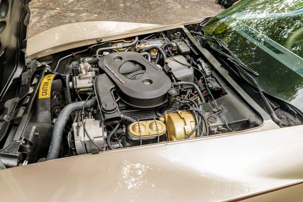 used 1982 Chevrolet Corvette car, priced at $22,900