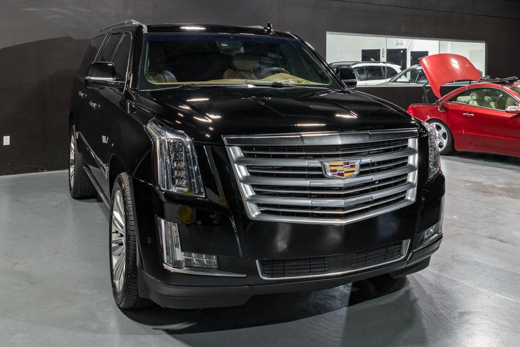 used 2017 Cadillac Escalade ESV car, priced at $33,900