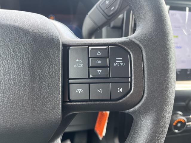 new 2025 Ford F-150 car