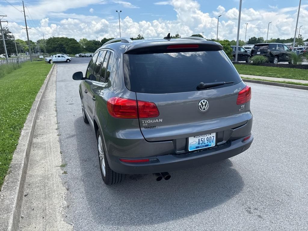 used 2016 Volkswagen Tiguan car