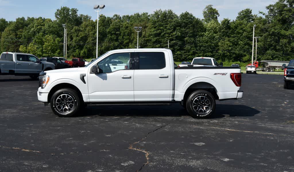 used 2021 Ford F-150 car, priced at $34,257