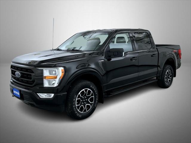 used 2021 Ford F-150 car