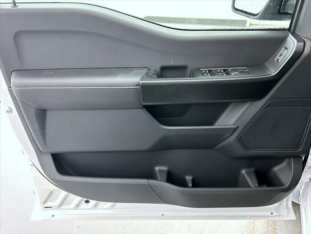 new 2025 Ford F-150 car