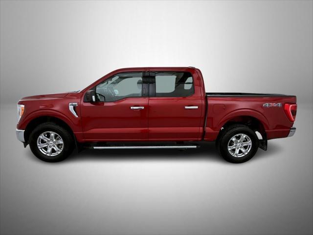 used 2021 Ford F-150 car