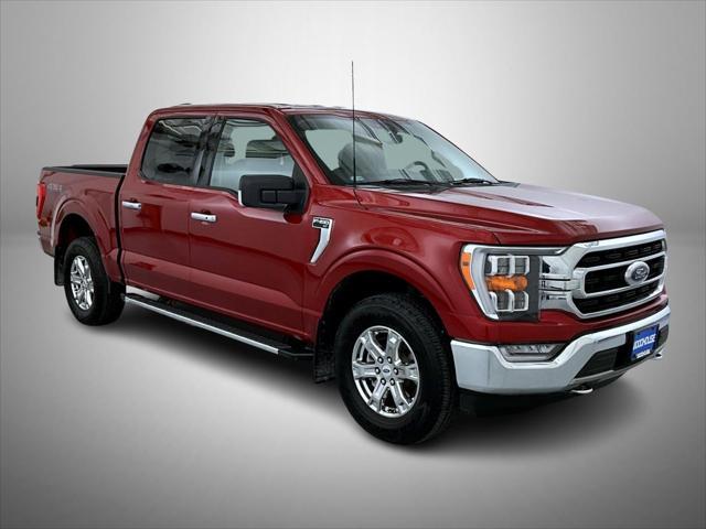 used 2021 Ford F-150 car
