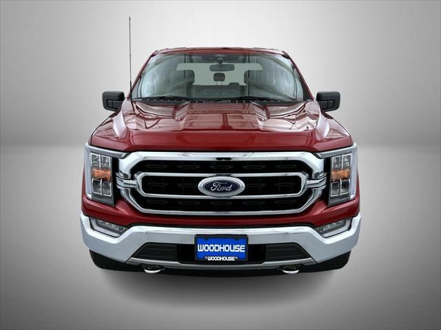 used 2021 Ford F-150 car