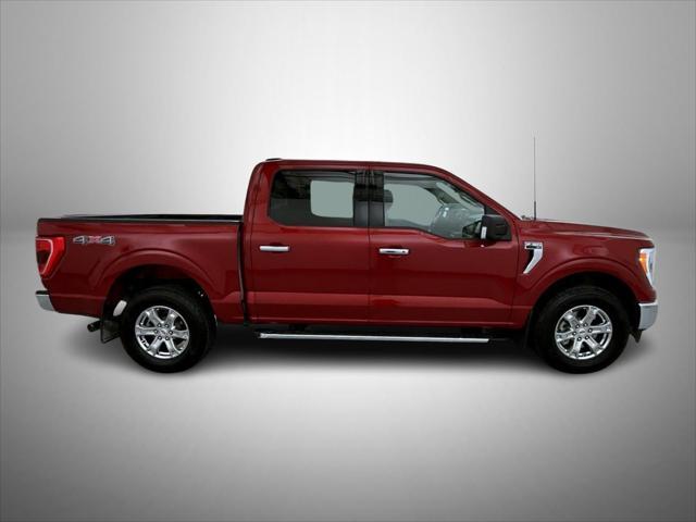 used 2021 Ford F-150 car