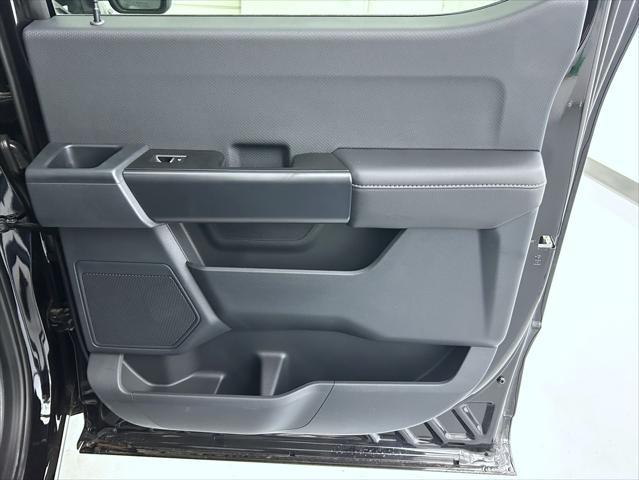 new 2025 Ford F-150 car