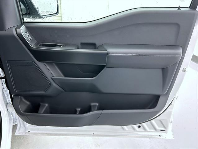 new 2025 Ford F-150 car