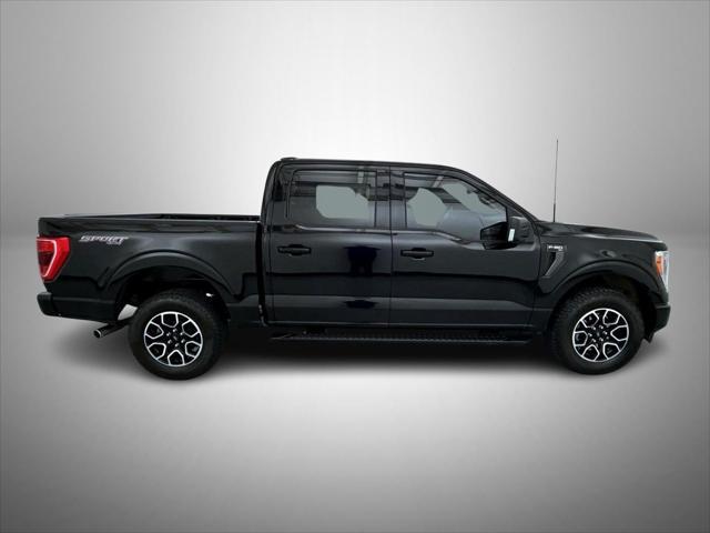 used 2023 Ford F-150 car