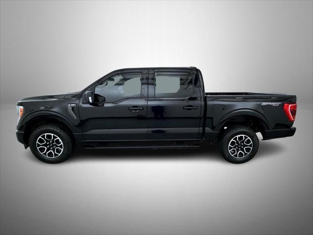 used 2023 Ford F-150 car