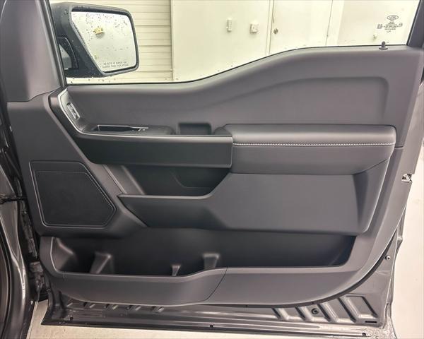 new 2025 Ford F-150 car