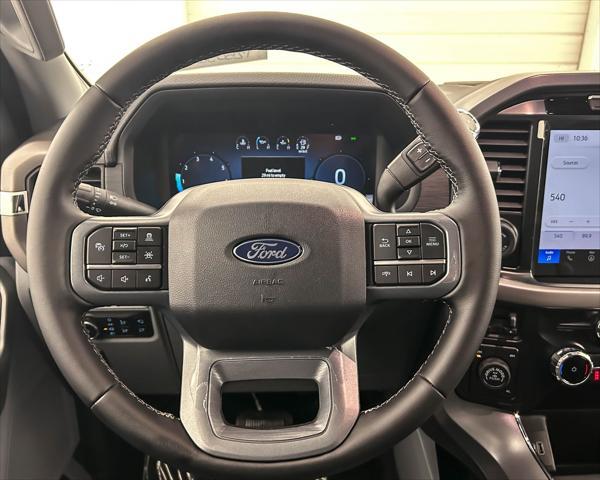 new 2025 Ford F-150 car