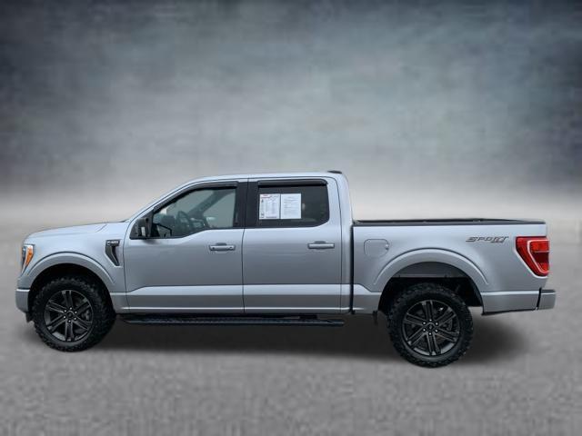 used 2021 Ford F-150 car, priced at $33,603