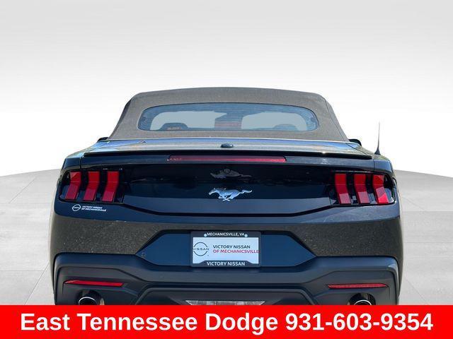 used 2024 Ford Mustang car, priced at $35,002