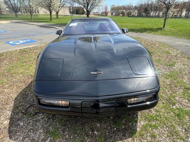 used 1995 Chevrolet Corvette car, priced at $59,995