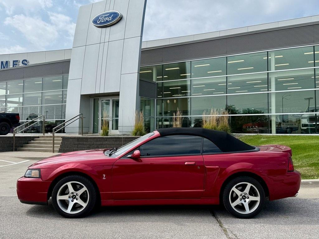 used 2003 Ford Mustang car, priced at $42,978