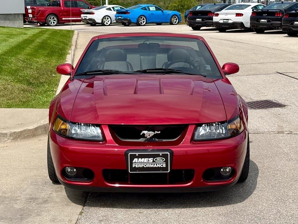 used 2003 Ford Mustang car, priced at $42,978